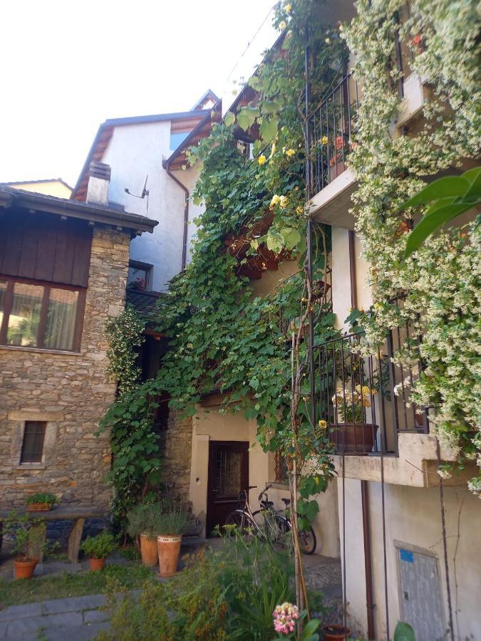 La Ticinella Lägenhet Losone Exteriör bild